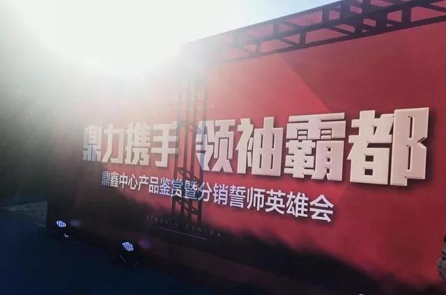 鼎力攜手，領(lǐng)袖霸都！合肥鼎鑫中心產(chǎn)品鑒賞暨分銷誓師英雄會圓滿落幕！