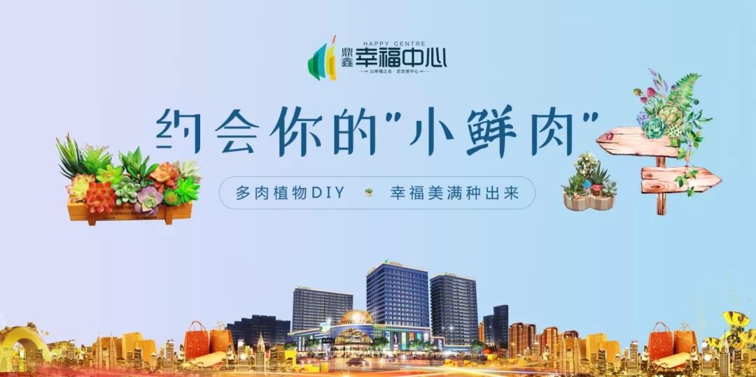 約會你的“小鮮肉” 多肉植物DIY，幸福美滿種出來