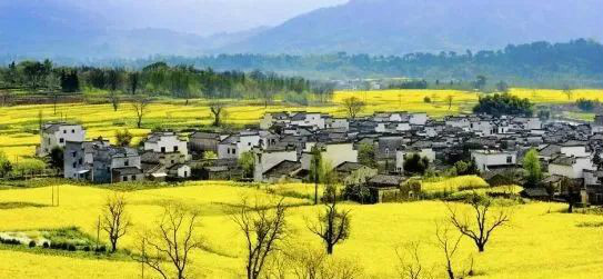 國務(wù)院總理李強：全面推進鄉(xiāng)村振興要關(guān)注三個關(guān)鍵詞